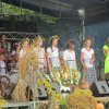 Dożynki 2016