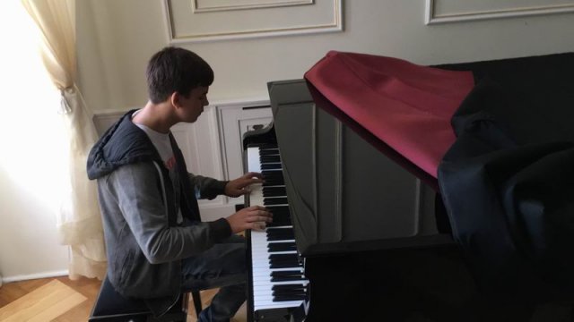 Violino