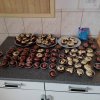 Adopcja