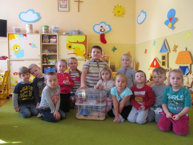 Przedszkole 2016
