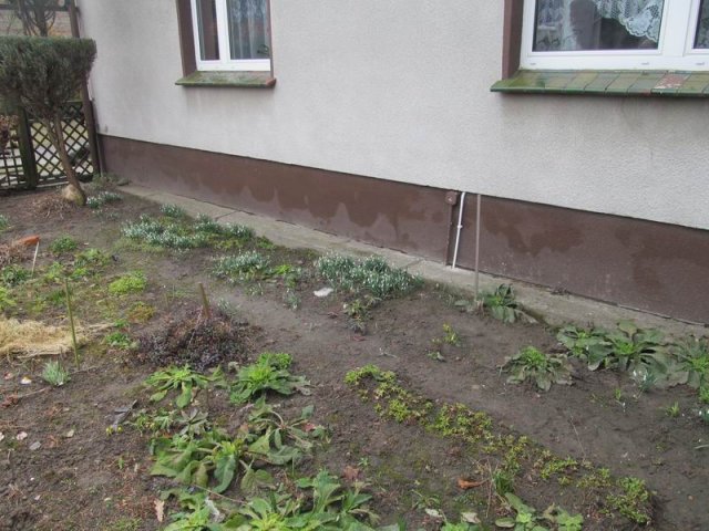 Przedszkole 2016