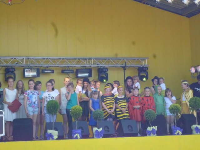 Festyn 2015