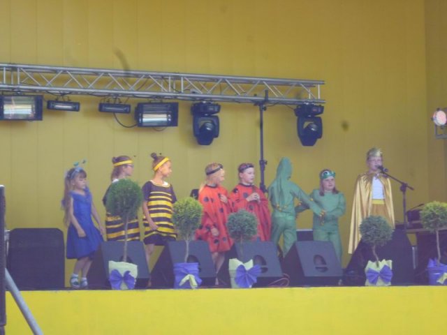 Festyn 2015